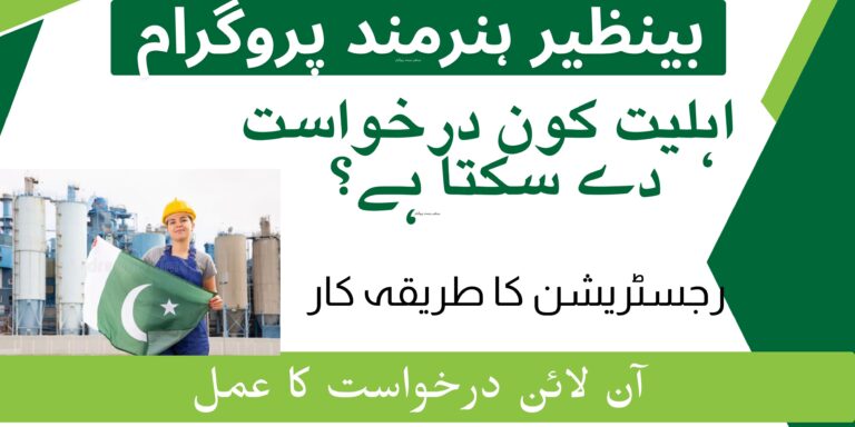 hunarmand bisp gov pk | Benazir Hunarmand Program 2025