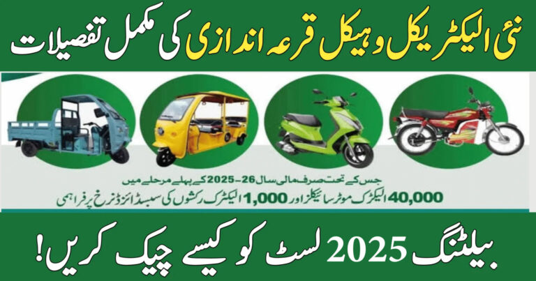 pave.gov.pk Balloting 2025 Result Winners List PAVE Scheme Check By CNIC