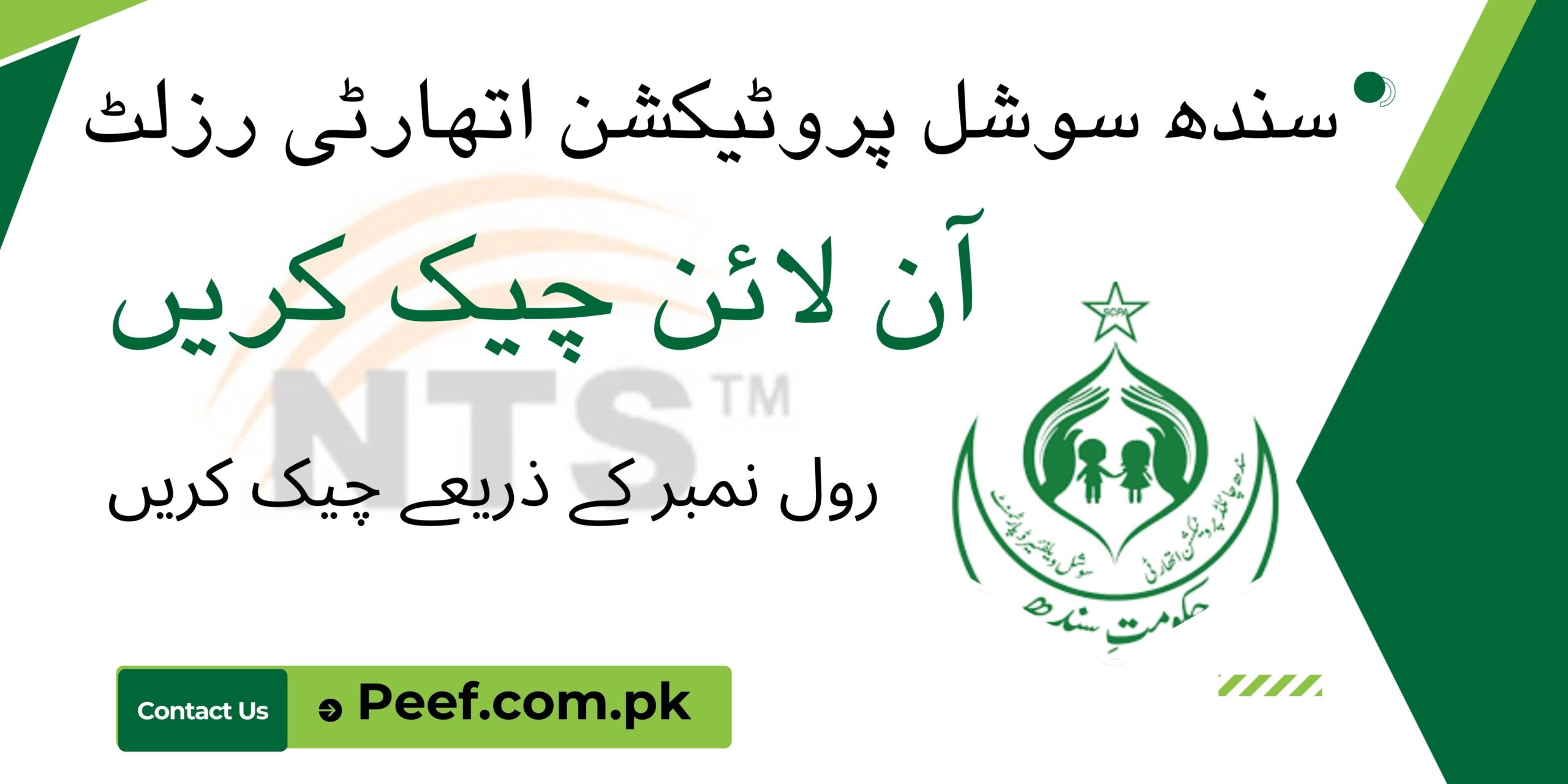 NTS Sindh Social Protection Authority Result