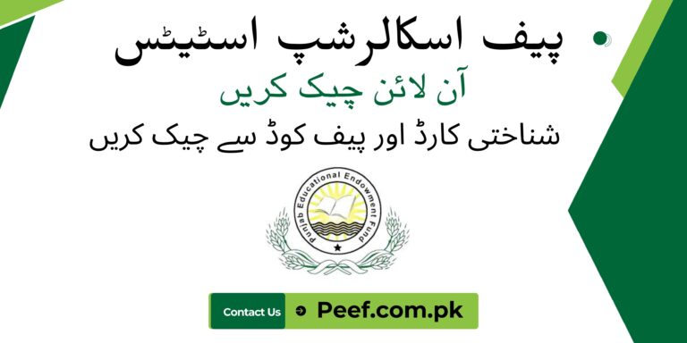 peef scholarship status
