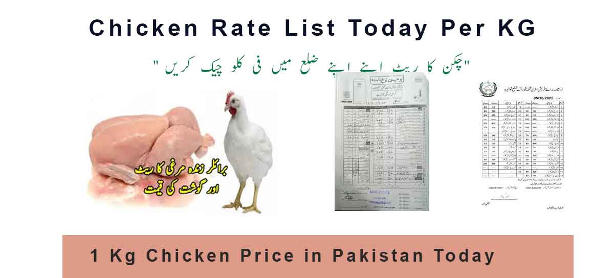 1 Kg Chicken Price in Pakistan Today