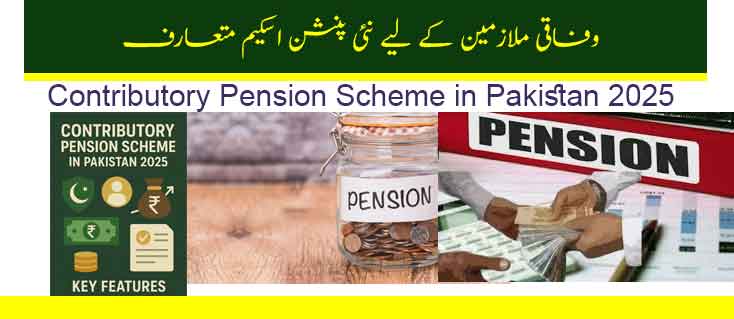 Contributory Pension Scheme in Pakistan 2025